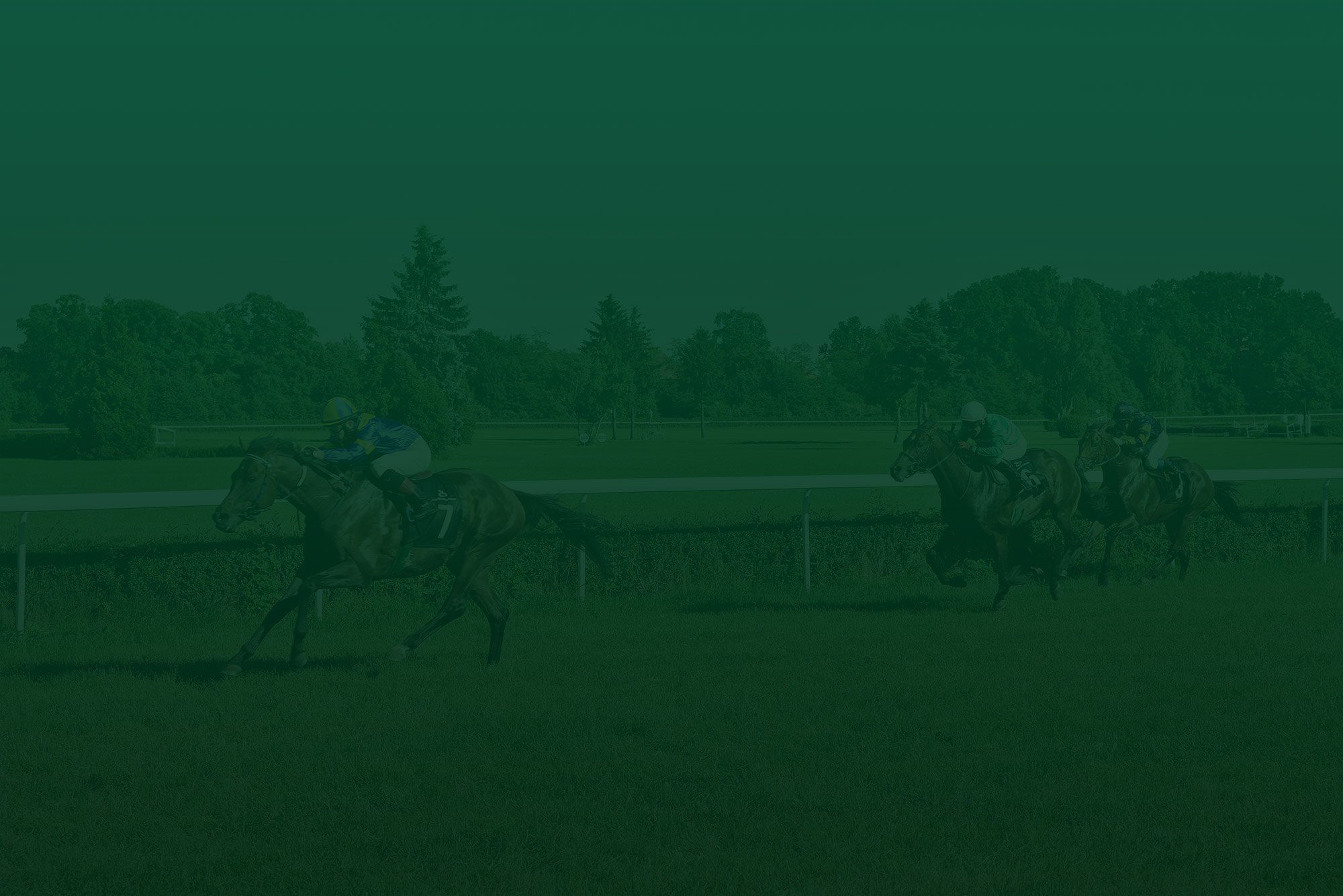 UK National Hunt Horse Races, Race Meetings & Racing Fixtures