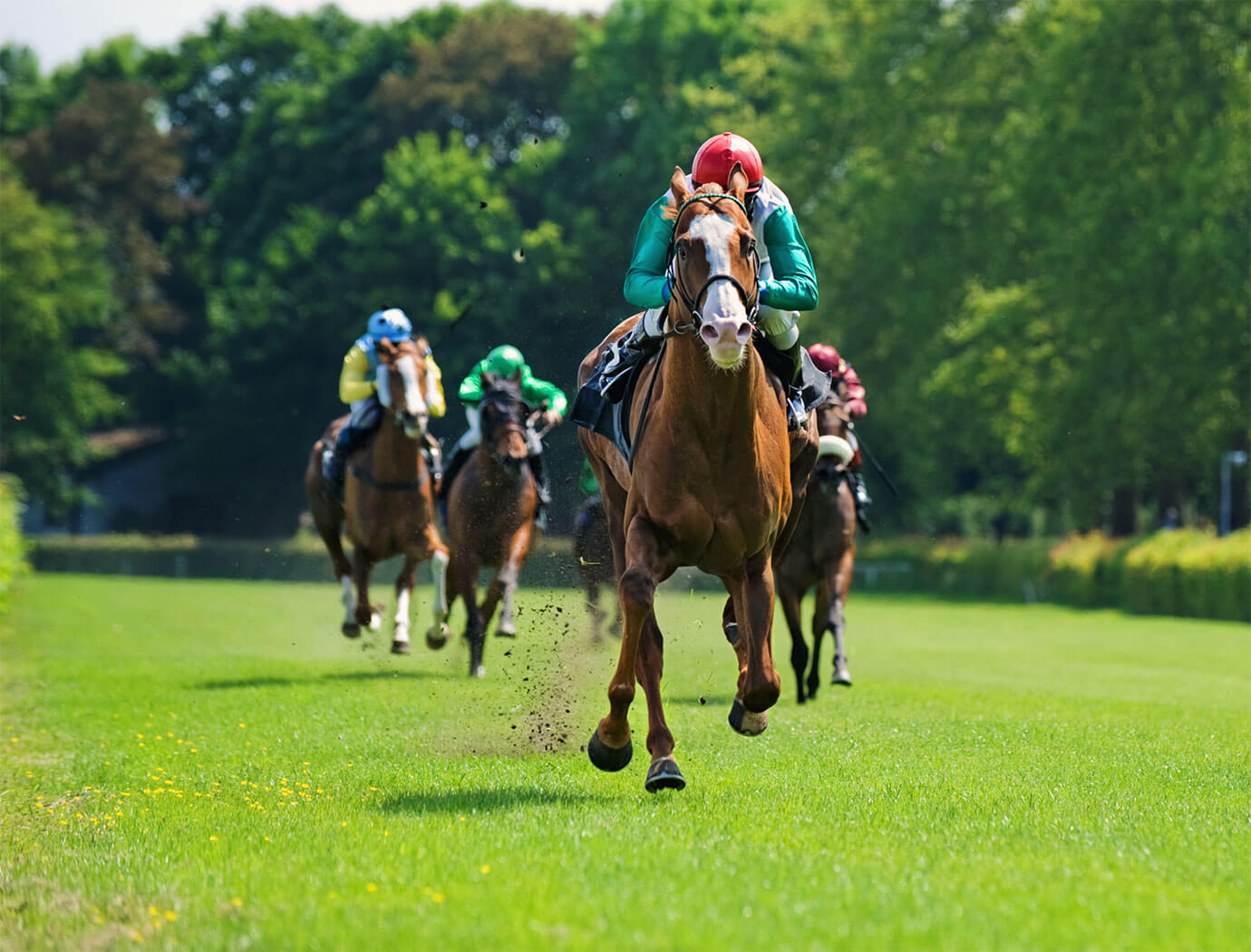 Bellewstown