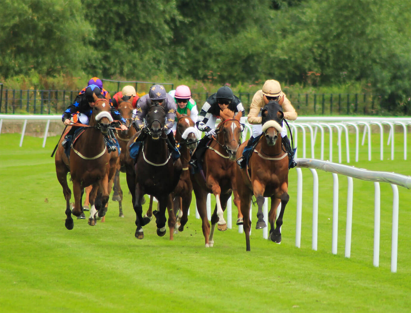 Chester Races & Racecourse Guide