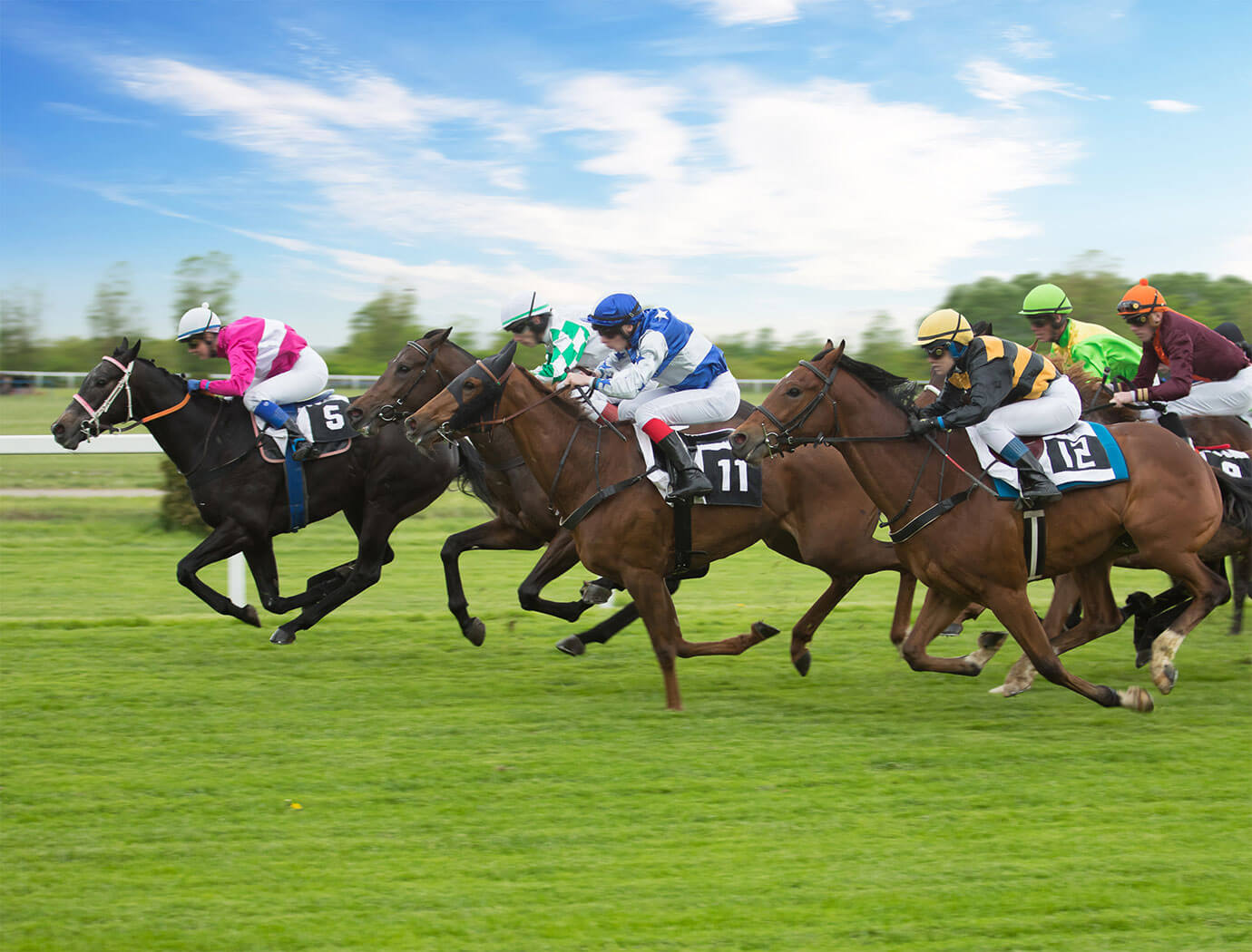 down royal races st patricks day clip