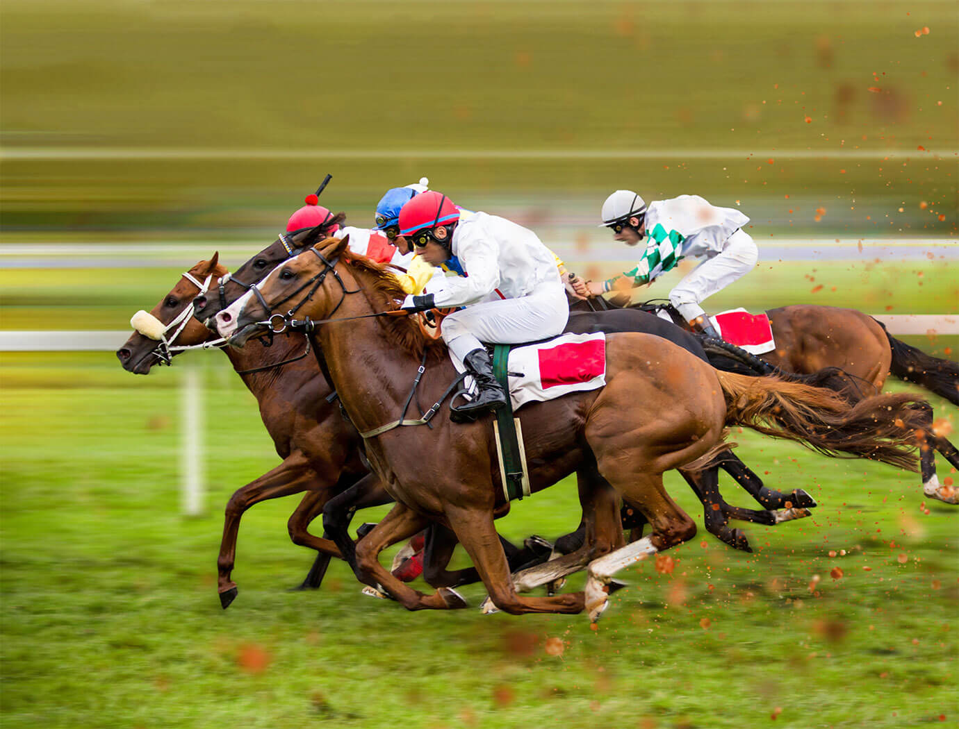 Kelso Races & Racecourse Guide