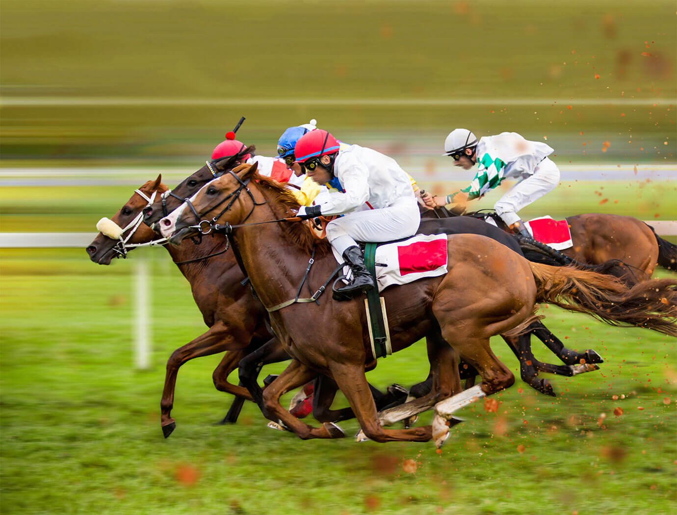 Killarney Races & Racecourse Guide