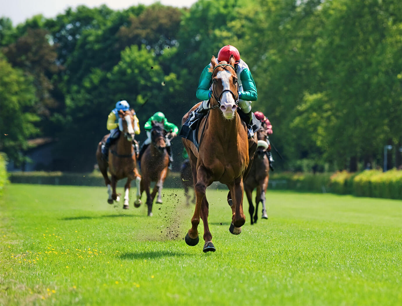 Ludlow Races & Racecourse Guide