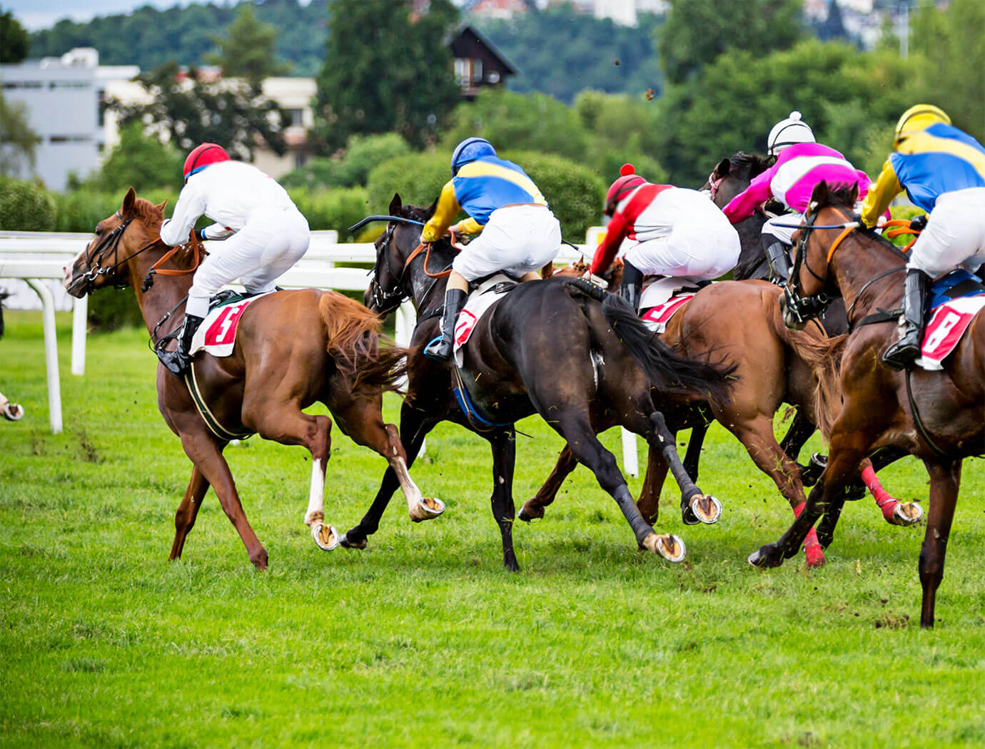 10++ Horse racing results today market rasen best pedictions