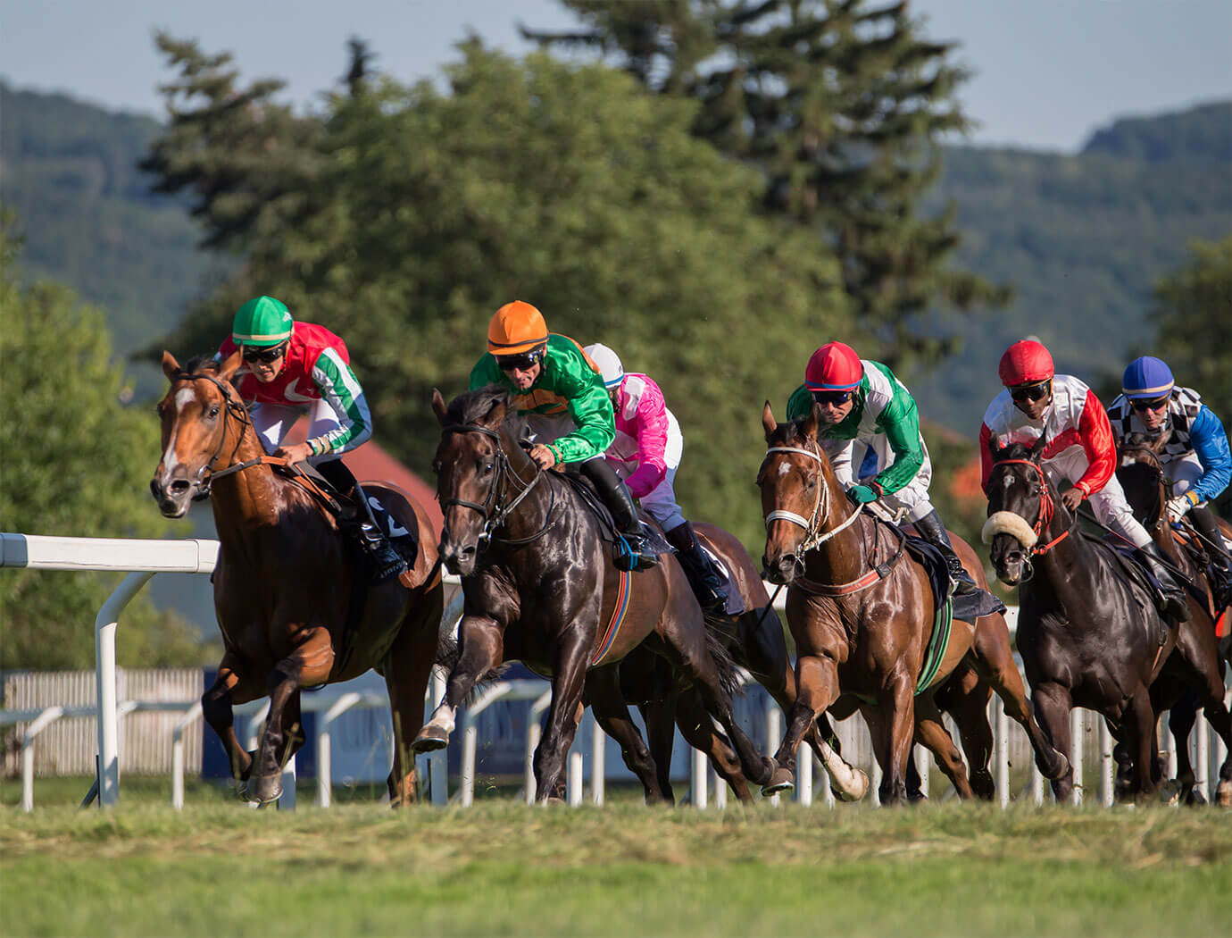 Newcastle Races & Racecourse Guide