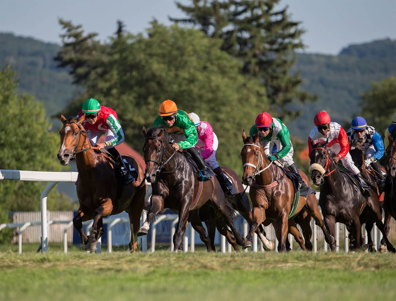 Plumpton Races Racecourse Guide