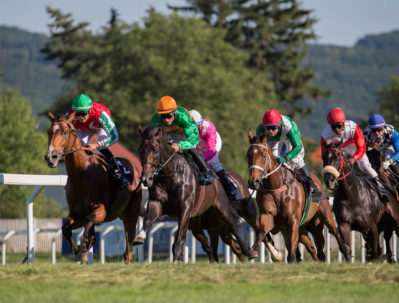 Punchestown
