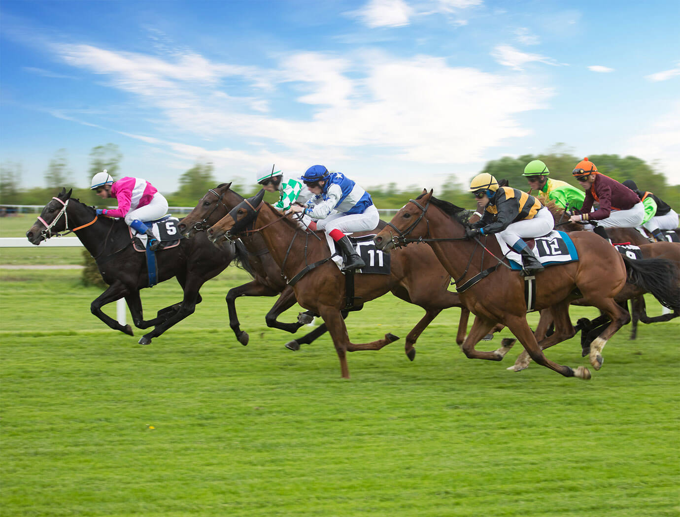 Sandown Races & Racecourse Guide