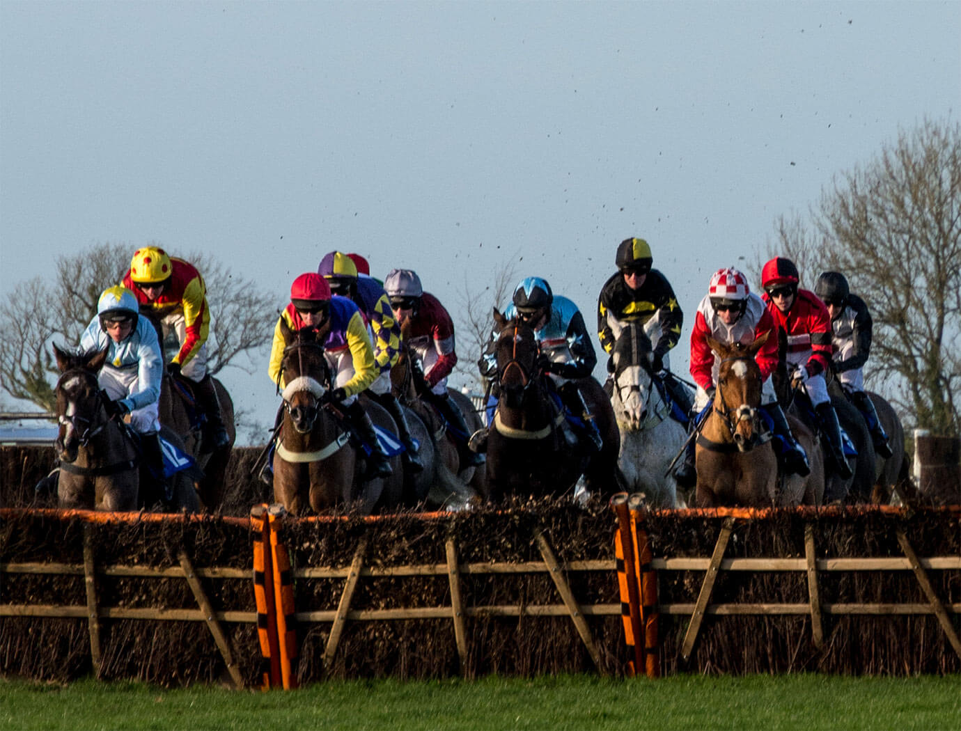 Wincanton Races Racecourse Guide
