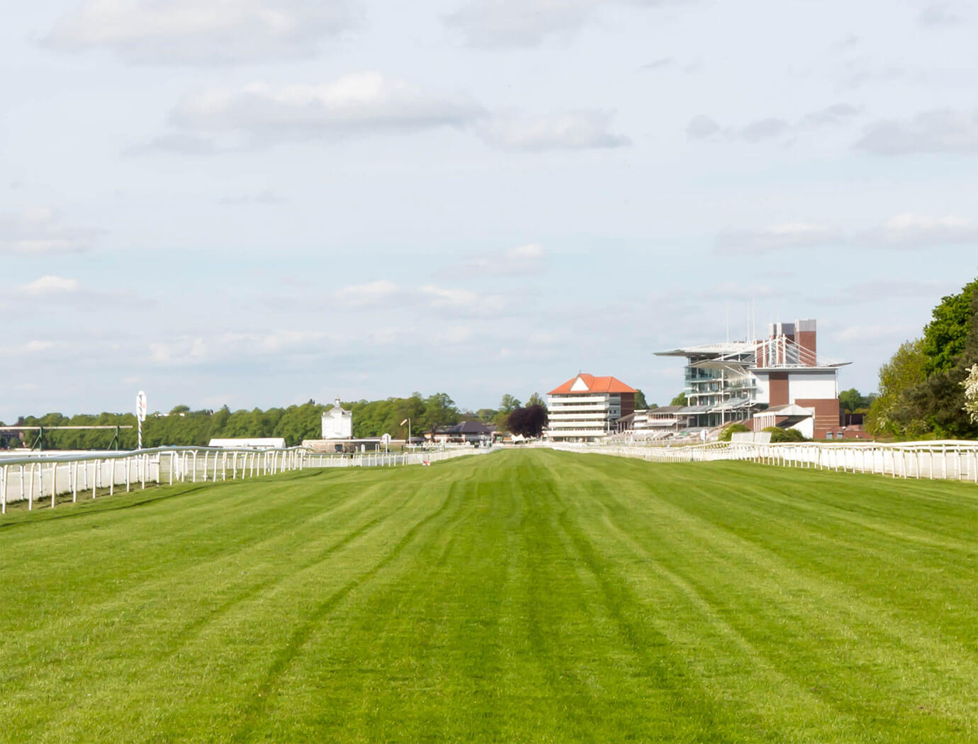 York Races & Racecourse Guide