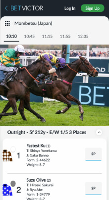 BetVictor stream screen