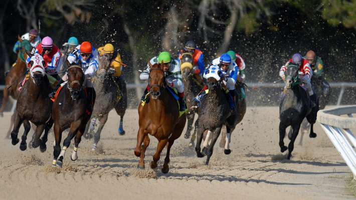 Grosvenor Hill stream