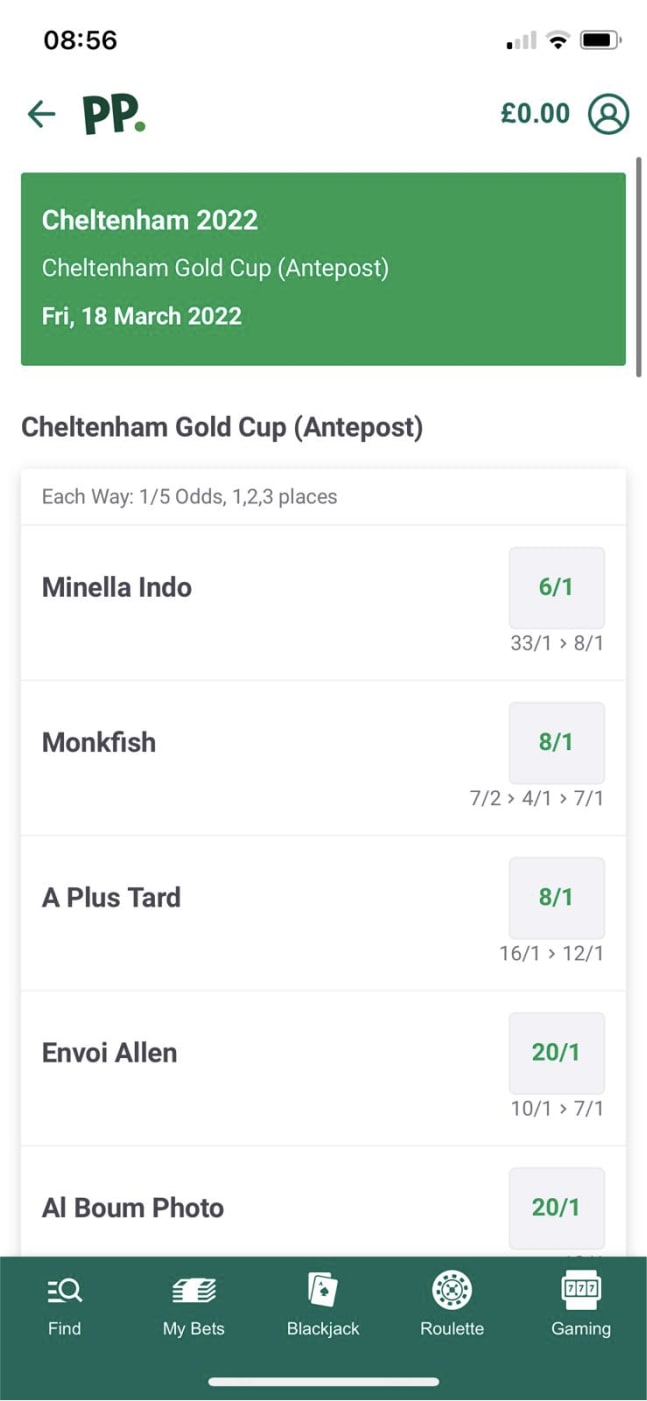 Paddy Power cheltenham