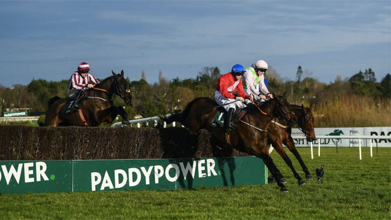 Victor park race results